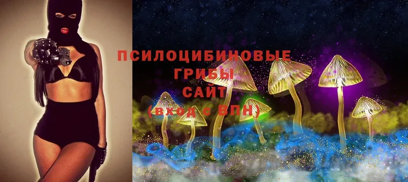 даркнет сайт  Уяр  Псилоцибиновые грибы Magic Shrooms 